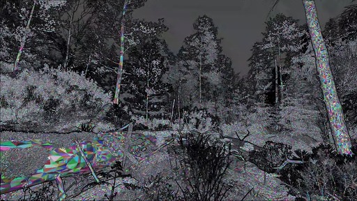 画像ギャラリー No.008のサムネイル画像 / 「The Witcher IV」ゲーム画面を交えた技術デモを公開。PS5で60FPSで動作,レイトレーシングにも対応