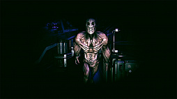 ���������꡼ No.005�Υ���ͥ������ / PC��Steam���ǡ�PREDATOR AND WRECK �Ῡ�Ԥ������������ۿ���Switch�Ǥ�١����ˡ���Ф䥲����Х�󥹤ʤɤ򶯲�