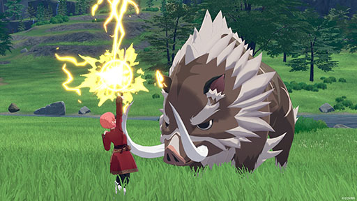 ꡼ No.026Υͥ / ֥ۥס饤֤ƱİǤ뿷ꥢ֥쥹ƥ롦꡼ʡפ828ˤϡե֥׺ספⳫ