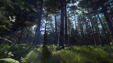 画像集 No.005のサムネイル画像 / 「Way of the Hunter」の大型DLC「オーロラ ショアーズ」が本日配信に。最新アップデートVersion 1.22も登場