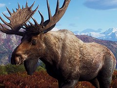 「Way of the Hunter」，無料大型DLC“オーロラショアーズ”の配信日を2月23日に決定。登場する動物たちを確認できるトレイラーが公開
