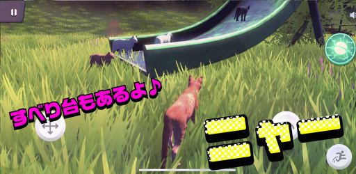 画像ギャラリー No.005のサムネイル画像 / 猫のメタバースアプリ「ネコデース」配信開始。同時に最大20匹でコミュニケーションを楽しめる