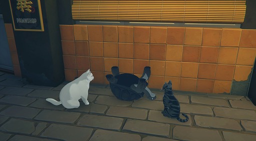 ���������꡼ No.047�Υ���ͥ������ / �Υץ쥤��ݡϡ֥���쥹�����󥼥���Ver.2.0�ϥϥޤä��㤦���Ǥ����äѤ��� ����θ��������ǡ�������վ��ͤ�̥������