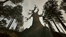 画像ギャラリー No.005のサムネイル画像 / 「Among the Trolls」，体験版を配信開始。フィンランド神話と古代シャーマンの魔法に満ちた世界を冒険するサバイバルアクションADV