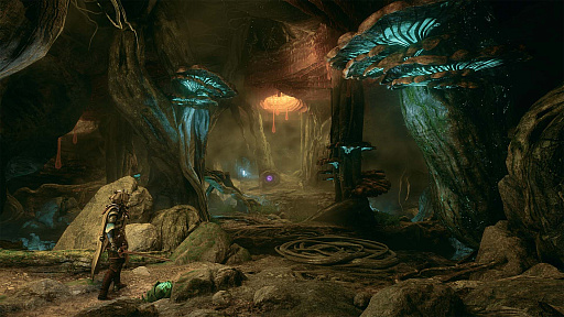 ꡼ No.004Υͥ / WarframeפλץȡSoulframeפΦƥȤָǻòǽˡTennoConȯɽ줿ƤϤ