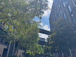 画像ギャラリー No.003のサムネイル画像 / 琵琶を壊して録音,木材で建築を検証――開発陣のこだわりが生んだ武侠オープンワールド「風燕伝:Where Winds Meet」が描く五代十国時代の乱世