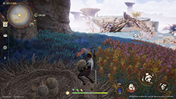 ꡼ No.012Υͥ / ֥󥹥ϥ󥿡ȥסϰоݤȤɦ¥ƥȤ11˳ϡȥ쥤顼