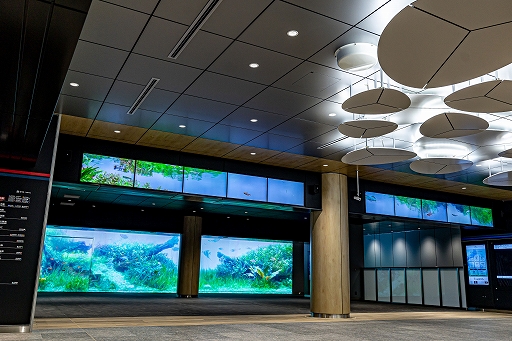 ���������꡼ No.009�Υ���ͥ������ / ̡���JUNKET BANK�פ��θ�Ÿ���ȡ��ޥ󥬥ܡ��ɥ���������䤹�륤�٥�Ȥ���JR���ؤ��᤭���ϲ�����2��8������2��14���ޤǳ���