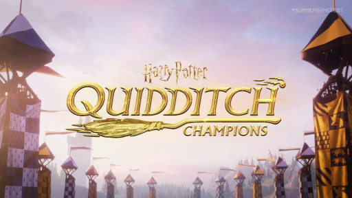  No.001Υͥ / Harry Potter: Quidditch ChampionsסPC/󥷥塼޸93ȯ䡣֥ǥåפȤ﷿󥲡