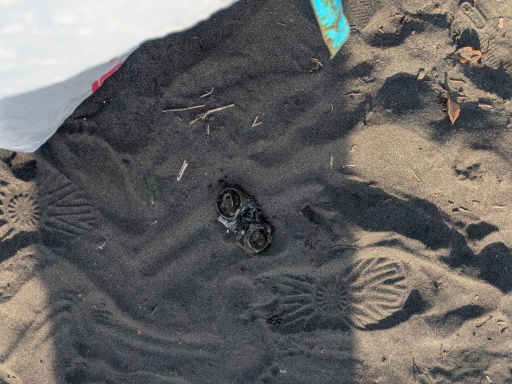 画像ギャラリー No.003のサムネイル画像 / 「Sky 星を紡ぐ子どもたち」ファン200人が集結。海岸のゴミ拾いイベント「光を紡ぐビーチクリーン in 江の島」に参加してきた