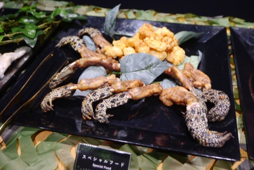 ꡼ No.021Υͥ / Υץ쥤ݡϡMETAL GEAR SOLID : SNAKE EATERפեåȿʥץ쥤ˤꡤ꡼λϤޤ