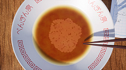 �顼��󤢤֤齸��