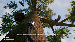 Away : The Survival Series