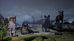 Away : The Survival Series