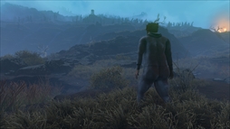 ꡼ No.004Υͥ / 䤪γȯԤ꤬󥰥ߥ졼Baby Stepsסۿϡ͸ϰ35̵