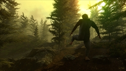 ꡼ No.009Υͥ / 䤪γȯԤ꤬󥰥ߥ졼Baby Stepsסۿϡ͸ϰ35̵