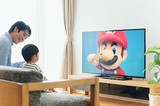 ꡼ No.001Υͥ / ֥ޥꥪפΤĤߤamiiboб ʻҤɤοʥ꡼֥ޥޥꥪ,826ȯ