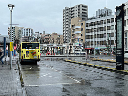 ꡼ No.005Υͥ / ǥŸ֤֤ GAME DIGGפݡȡԡˡ٥ȤͻҤȼŤǤ륢ȥꥨߥߥʤƣػλΥ󥿥ӥ塼Ϥ