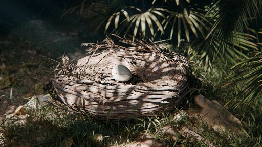 ꡼ No.001Υͥ / Delta ForceסߡGoose Goose Duckץܤ򳫺š2026ǯUnreal Engine 5ܹԷײȯɽ