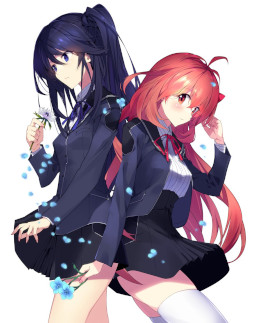 ꡼ No.013Υͥ / ꡼25ǯǰʡ֥꡼  Not always trueסȯ䡣֤Τʤۤפơޤˡоʪʪ