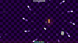 ������ Survivor