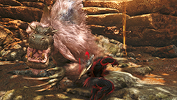 ꡼ No.014Υͥ / ֥󥹥ϥ󥿡磻륺סߡ֥ȥ꡼ȥե6ץڥ륳ܡ528ۿꡣΡֹ뵴פϥо