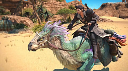 ꡼ No.007Υͥ / ֥ϥ磻륺סߡFF XIVץȯɽϥ󥿡祳ܤ˾äƥᥬֵFF¦ˤϥ륷٥ɻ