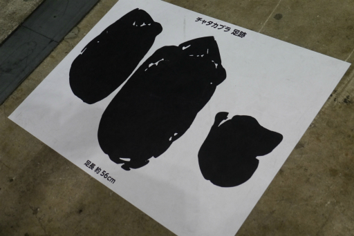 画像ギャラリー No.056のサムネイル画像 / 「モンスターハンターフェスタ'26」レポート。「ストーリーズ3」の新情報や，「ワイルズ」の一蘭コラボ，白熱の狩王決定戦など見どころ満載の1日