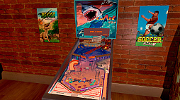 Wild Pinball Bundle