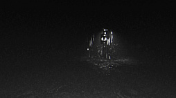 悪夢のような日々でした