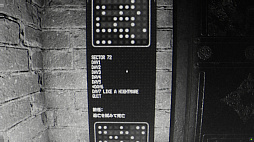 悪夢のような日々でした