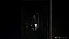  No.009Υͥ / SILENT HILL: The Short MessageסPS5̵ۿϡˤۥ顼