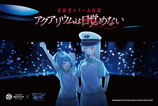 ꡼ No.019Υͥ / ֥ꥦ٤ʤפ󥷥㥤²ۤȥܡθۥ顼²ۤ1010ָǳ