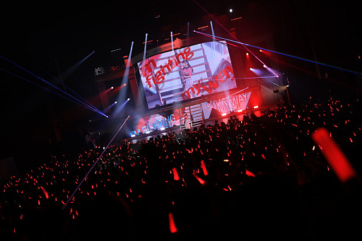 ���������꡼ No.004�Υ���ͥ������ / �饤�ֳ֡رॢ���ɥ�ޥ����� The 1st Period Spotlight Star�ץ�ݡ��ȡ�12�ͤΥ����ɥ뤬���줾��θ����򵱤�����