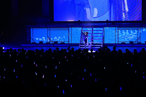 ���������꡼ No.008�Υ���ͥ������ / �饤�ֳ֡رॢ���ɥ�ޥ����� The 1st Period Spotlight Star�ץ�ݡ��ȡ�12�ͤΥ����ɥ뤬���줾��θ����򵱤�����