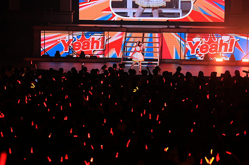 ���������꡼ No.010�Υ���ͥ������ / �饤�ֳ֡رॢ���ɥ�ޥ����� The 1st Period Spotlight Star�ץ�ݡ��ȡ�12�ͤΥ����ɥ뤬���줾��θ����򵱤�����