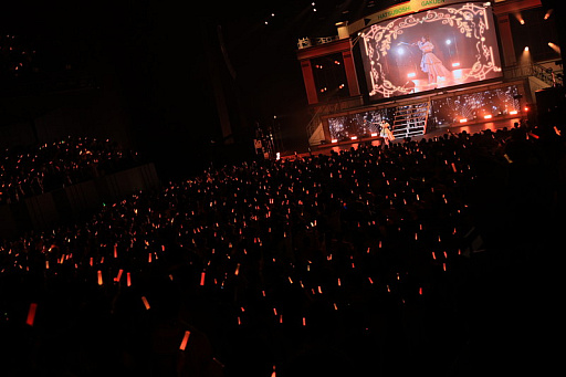 ���������꡼ No.019�Υ���ͥ������ / �饤�ֳ֡رॢ���ɥ�ޥ����� The 1st Period Spotlight Star�ץ�ݡ��ȡ�12�ͤΥ����ɥ뤬���줾��θ����򵱤�����