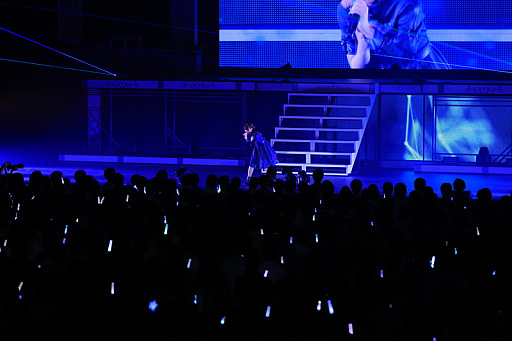 ���������꡼ No.022�Υ���ͥ������ / �饤�ֳ֡رॢ���ɥ�ޥ����� The 1st Period Spotlight Star�ץ�ݡ��ȡ�12�ͤΥ����ɥ뤬���줾��θ����򵱤�����