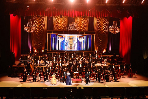 ���������꡼ No.001�Υ���ͥ������ / �֥����ޥ���2025�����λ�İ��ݡ��ȡ������ޥ����꡼��20ǯ����ˤ��ڥ��������ȥ���դǿ����֤�