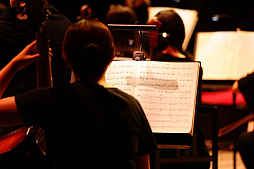 ���������꡼ No.003�Υ���ͥ������ / �֥����ޥ���2025�����λ�İ��ݡ��ȡ������ޥ����꡼��20ǯ����ˤ��ڥ��������ȥ���դǿ����֤�