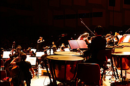 ���������꡼ No.004�Υ���ͥ������ / �֥����ޥ���2025�����λ�İ��ݡ��ȡ������ޥ����꡼��20ǯ����ˤ��ڥ��������ȥ���դǿ����֤�