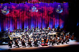 ���������꡼ No.005�Υ���ͥ������ / �֥����ޥ���2025�����λ�İ��ݡ��ȡ������ޥ����꡼��20ǯ����ˤ��ڥ��������ȥ���դǿ����֤�