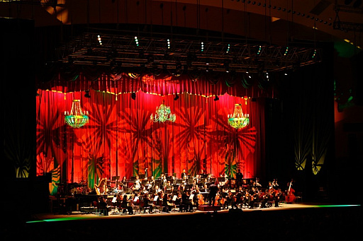 ���������꡼ No.009�Υ���ͥ������ / �֥����ޥ���2025�����λ�İ��ݡ��ȡ������ޥ����꡼��20ǯ����ˤ��ڥ��������ȥ���դǿ����֤�