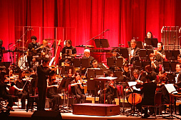 ���������꡼ No.010�Υ���ͥ������ / �֥����ޥ���2025�����λ�İ��ݡ��ȡ������ޥ����꡼��20ǯ����ˤ��ڥ��������ȥ���դǿ����֤�