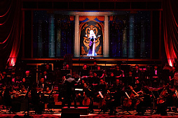 ���������꡼ No.011�Υ���ͥ������ / �֥����ޥ���2025�����λ�İ��ݡ��ȡ������ޥ����꡼��20ǯ����ˤ��ڥ��������ȥ���դǿ����֤�