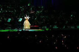 ���������꡼ No.013�Υ���ͥ������ / �֥����ޥ���2025�����λ�İ��ݡ��ȡ������ޥ����꡼��20ǯ����ˤ��ڥ��������ȥ���դǿ����֤�