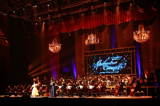 ���������꡼ No.018�Υ���ͥ������ / �֥����ޥ���2025�����λ�İ��ݡ��ȡ������ޥ����꡼��20ǯ����ˤ��ڥ��������ȥ���դǿ����֤�