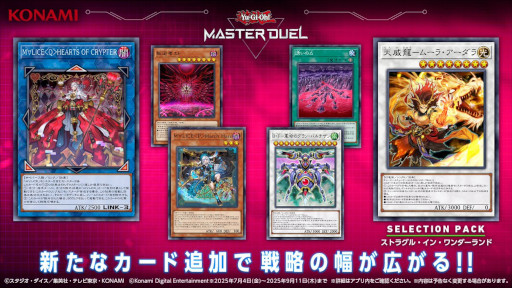 ꡼ No.010Υͥ / ޥۥΥʬϡ2025ǯ82893ˡ1̤ϡ֥ݥݥסɥѥåΥ꡼ֳ֤ȼפˤĤƹͻ