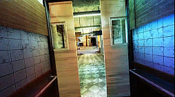 Greed: The Mad Scientist