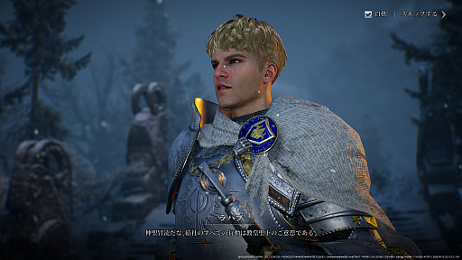 ���������꡼ No.006�Υ���ͥ������ / �Υץ쥤��ݡϿ���ޥ۸���MMORPG�֥쥤����2�פϡ��͡��α��Ť������������ǤϷ줷�֤���������������ե��󥿥���